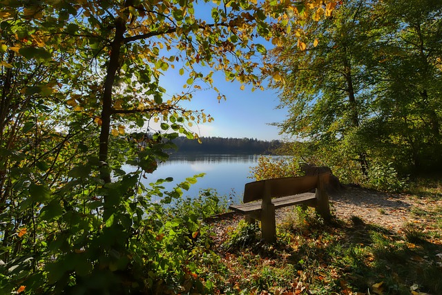 唐斯是尼克斯过去50年来砍35+15+5次数最多的球员